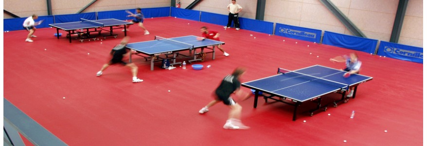 Taraflex Table Tenis